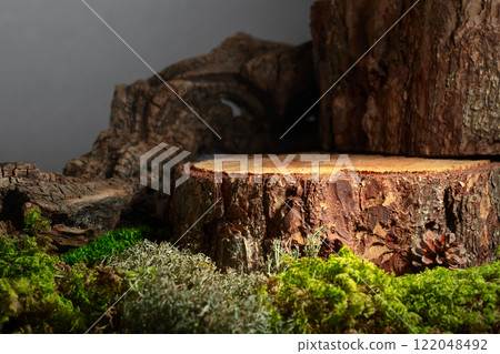 Composition with natural wood, moss and lichen for advertising eco products. 122048492