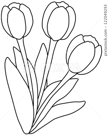 tulip Coloring Pages tulip Coloring Pages 122049293