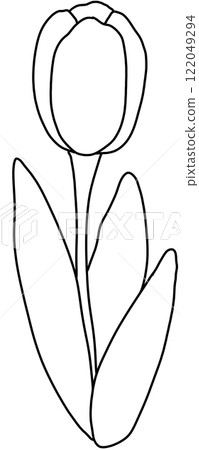 tulip Coloring Pages tulip Coloring Pages 122049294