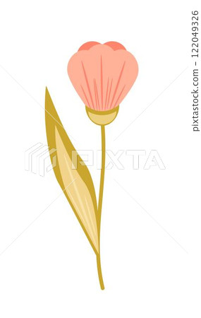 pink spring flower with stem and leaf. Delicate vector illustration in a flat style. pink spring flower with stem and leaf. Delicate vector illustration in a flat style. 122049326