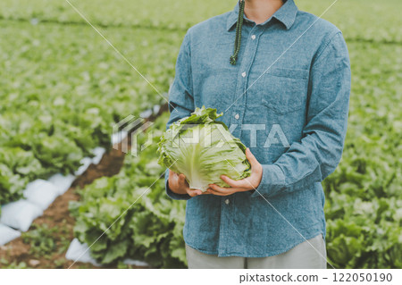 Lettuce farmer Lettuce farmer 122050190