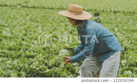 Lettuce farmer 122050194