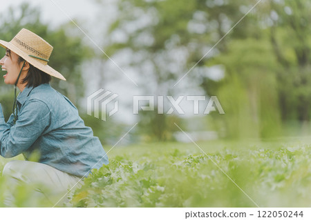 Lettuce farmer Lettuce farmer 122050244