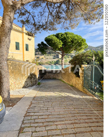 Nature of Liguria by sea. Pine trees and old town building on sunny day. Travelling, Italy sights and holidays. Nature of Liguria by sea. Pine trees and old town building on sunny day. Travelling, Italy sights and holidays. 122050360