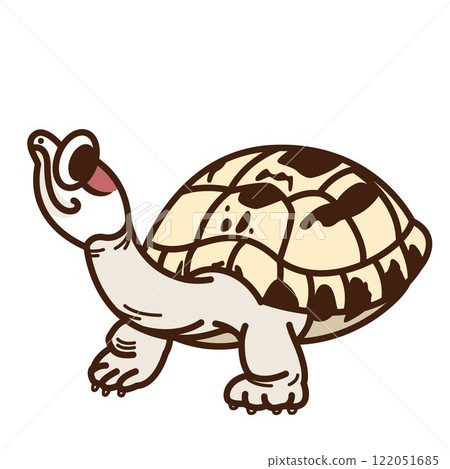 Karagool Turtle 122051685