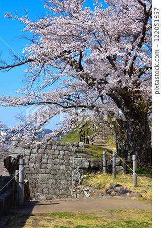 櫻花景 白川小峰城 主圍 122051857