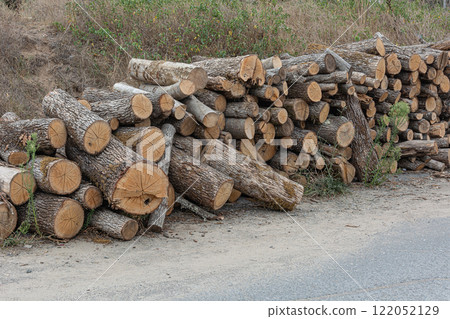 A woodpile is stacked near the road. 122052129