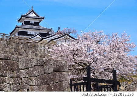 Sakurakei Shirakawa Komine Castle Sakurakei Shirakawa Komine Castle 122052156