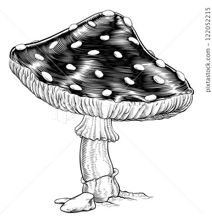 Mushroom Toadstool Fly Agaric Amanita Muscaria 122052215