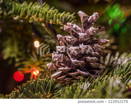 Close-Up of a Frosted Pine Cone on a Christmas Tree Branch 122052278