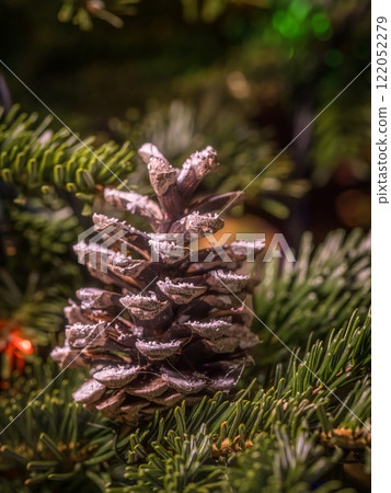 Close-Up of a Frosted Pine Cone on a Christmas Tree Branch 122052279