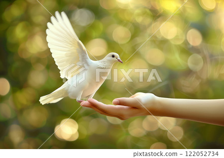 White dove landing on an outstretched hand against a blurred natural background, symbolizing peace, trust, and harmony in a serene outdoor setting 122052734