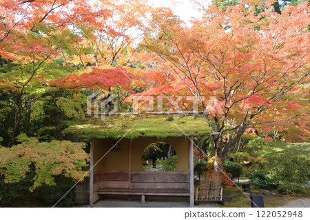 松島名寺圓通院，秋葉美麗 122052948