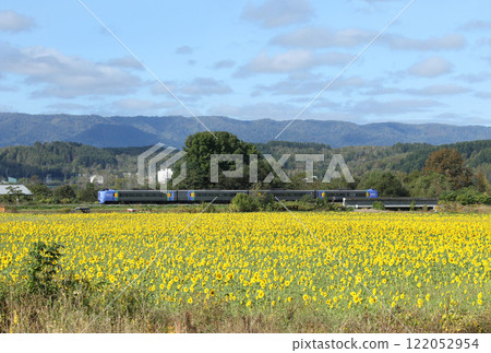 穿過向日葵田的特快大豆 特快大豆大豆本線 穿過向日葵田的特快大豆 特快大豆大豆本線 122052954