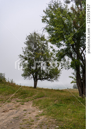 Summer mountain landscape in raining day 122053437