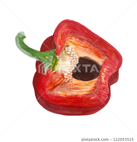Paprika, cut in half sweet red pepper watercolor illustration isolated on white. High quality hand painted garden plant great for packages, cook books, menu, recipes, cards, posters decor design 122053525