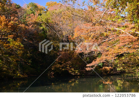 Lake Shinsho with autumn leaves coloring the lakeside Lake Shinsho with autumn leaves coloring the lakeside 122053786