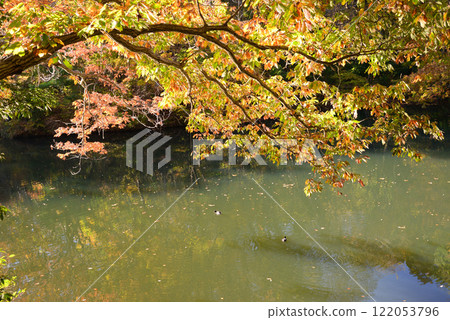 新西湖,秋天的樹葉點綴著湖畔 新西湖,秋天的樹葉點綴著湖畔 122053796
