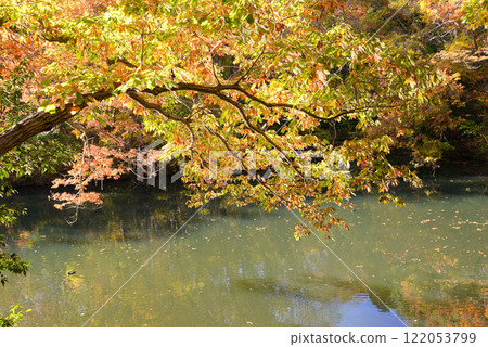 Lake Shinsho with autumn leaves coloring the lakeside Lake Shinsho with autumn leaves coloring the lakeside 122053799