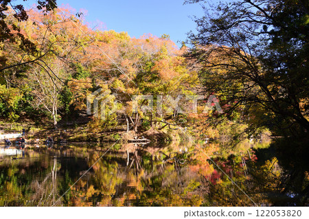 Lake Shinsho with autumn leaves coloring the lakeside Lake Shinsho with autumn leaves coloring the lakeside 122053820