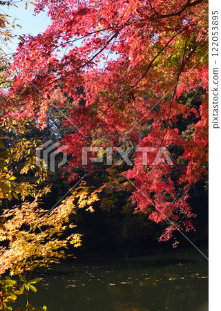 新西湖，秋天的樹葉點綴著湖畔 122053895