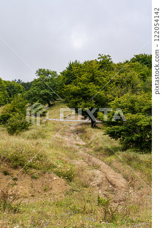 Summer mountain landscape in raining day 122054142