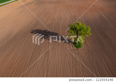 top down view on a lone tree in the middle of a cultivated field, field with tractor tracks, copy space top down view on a lone tree in the middle of a cultivated field, field with tractor tracks, copy space 122054246