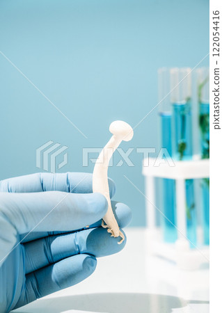 Mushroom in science lab. Biotechnology and medicine concept 122054416