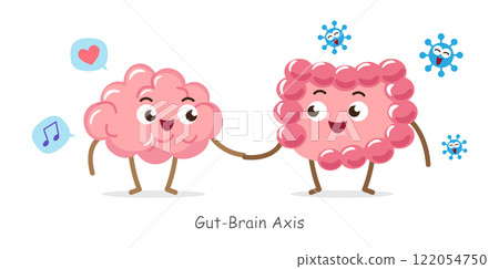 Gut-brain axis . Cartoon character of human brain and intestine . Concept about prebiotics and probiotics relate with brain function . Vector . 122054750
