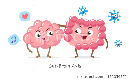 Gut-brain axis . Cartoon character of human brain and intestine . Concept about prebiotics and probiotics relate with brain function . Vector . 122054751