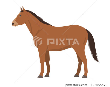 馬向量圖 122055470