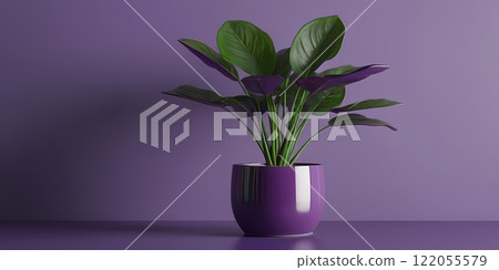Vibrant Indoor Plant in Purple Pot Against a Minimalistic Purple Wall Vibrant Indoor Plant in Purple Pot Against a Minimalistic Purple Wall 122055579