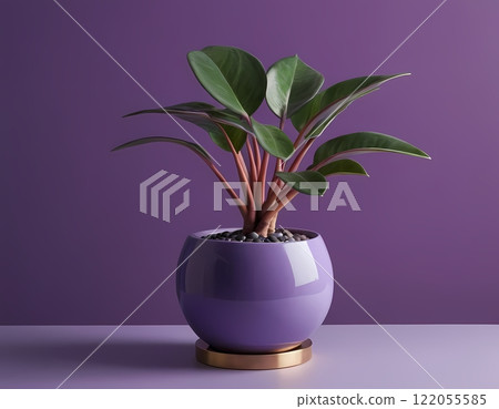 Vibrant Indoor Plant in Purple Pot Against a Minimalistic Purple Wall 122055585