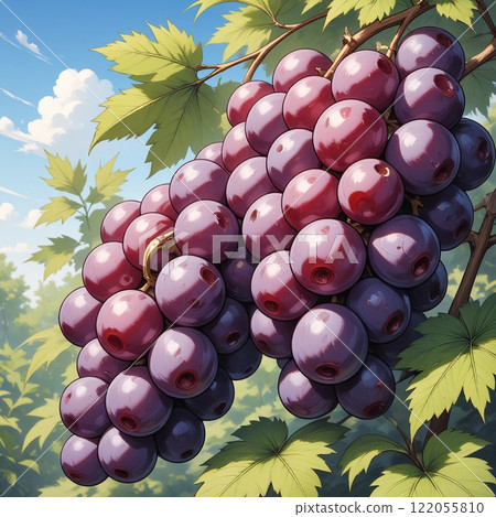 Fresh grapes shining against the blue sky 122055810