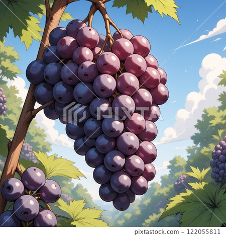 Fresh grapes shining against the blue sky 122055811