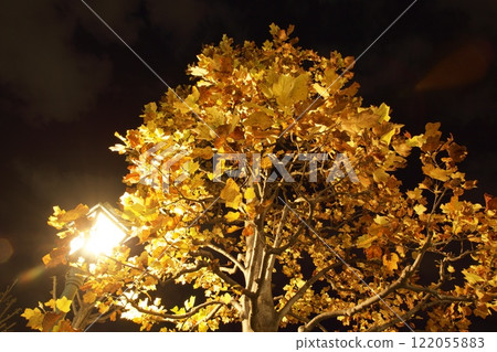 Kurashiki Mirai Park night view illumination 122055883