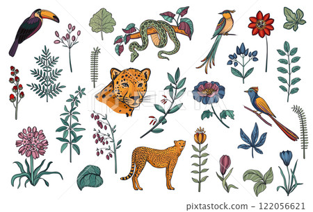 Vector wet of wild animals, tropical plants and flowers, toucan, exotic birds 122056621