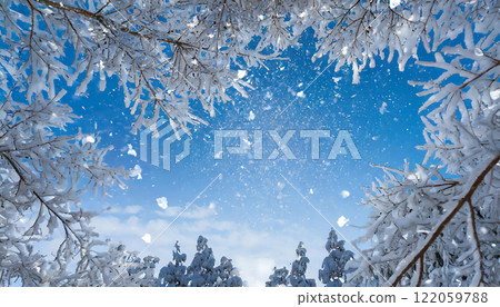 冬季幻想:閃閃發光的雪景和星空之美 冬季幻想:閃閃發光的雪景和星空之美 122059788