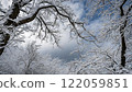 Snow-covered Alps and blue skies 122059851