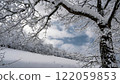 Snow-covered trees and the silence of the winter sky." 122059853