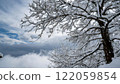 Snow-covered trees and the silence of the winter sky." 122059854