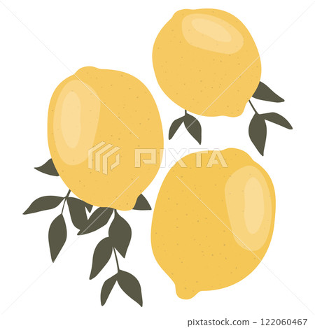 Lemon icon isolated on white background. Simple sour fruits vector. Juicy groovy fruits in doodle style 122060467
