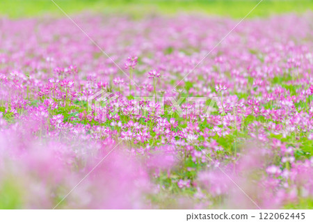 Rangenso花園 Rangenso花園 122062445