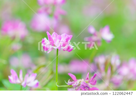 Rangenso花園 Rangenso花園 122062447