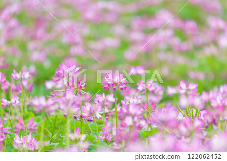 Flower garden of Rangenso Flower garden of Rangenso 122062452