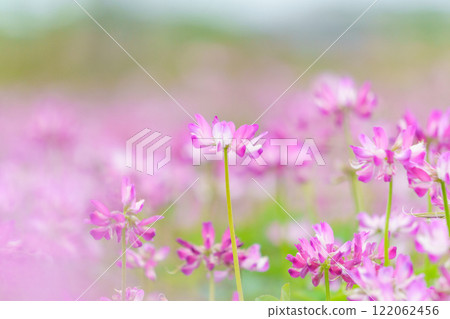 Flower garden of Rangenso 122062456