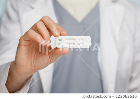 Vet showing in his hand test for detection of FIV and FeLV in cats close up 122062630