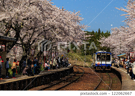 【石川縣】能登鐵道「櫻花站」櫻花盛開 122062667