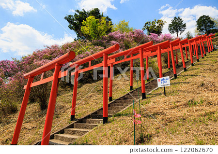 【京都府】獅子崎稻荷神社的杜鵑花 122062670