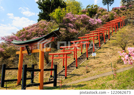 【京都府】獅子崎稻荷神社的杜鵑花 122062673